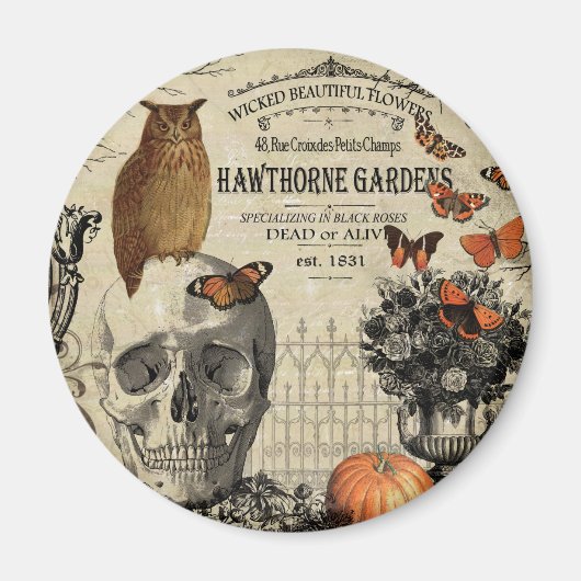 Moderne Vintage Halloween-Uhu und -Schädel Magnet (Vorne)