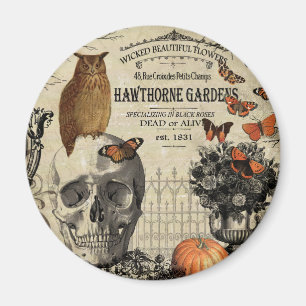 Moderne Vintage Halloweeneule und -schädel Magnet
