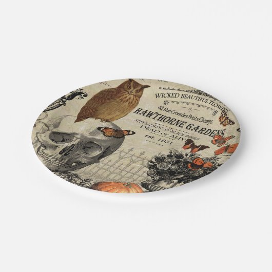 Moderne Vintage Halloweeneule und -schädel Pappteller (Schrägansicht)