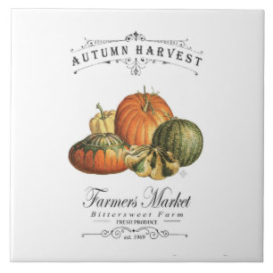 moderne vintage herbstliche kürbisse und kürbis fliese