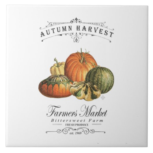 moderne vintage herbstliche kürbisse und kürbis fliese (Vorderseite)