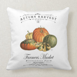 moderne vintage herbstliche kürbisse und kürbis kissen
