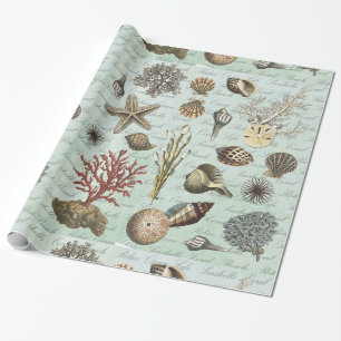 Moderne Vintage-Muscheln Geschenkpapier