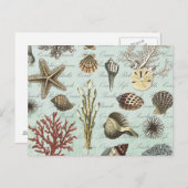 Moderne Vintage Muscheln Postkarte (Vorne/Hinten)