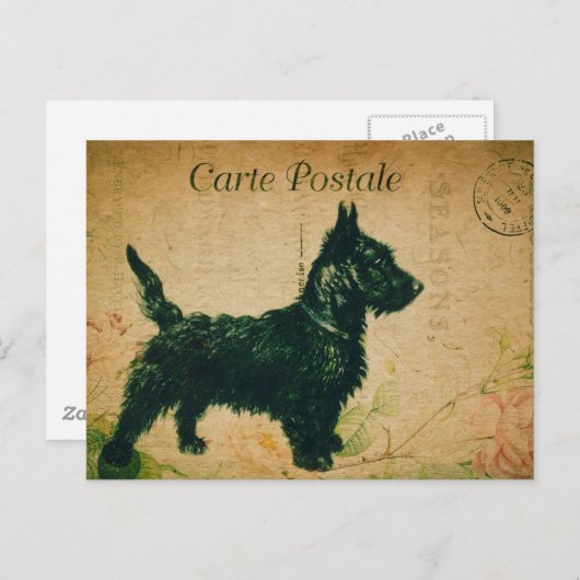 Moderne Vintage Postkarte (Vorne/Hinten)