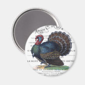 moderne Vintage Türkei Magnet (Vorderseite/Rückseite)
