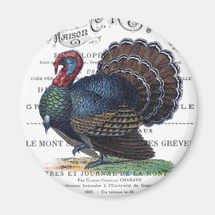 moderne Vintage Türkei Magnet