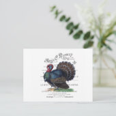 moderne Vintage Türkei Postkarte (Stehend Vorderseite)