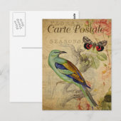 Moderne Vintage Vogelkolonie Postkarte (Vorne/Hinten)