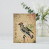 Moderne Vintage Vogelkolonie Postkarte (Stehend Vorderseite)