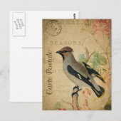 Moderne Vintage Vogelkolonie Postkarte (Vorne/Hinten)