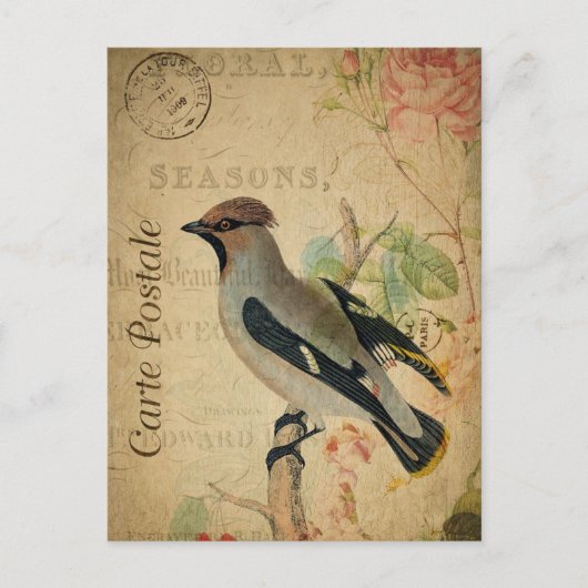 Moderne Vintage Vogelkolonie Postkarte (Vorderseite)