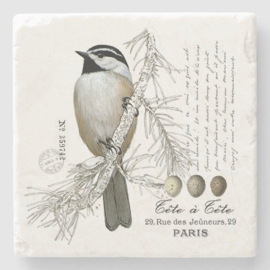 moderne vintage wald chickadee steinuntersetzer (Vorderseite)