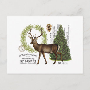 moderne vintage-wald-winter-hirsch postkarte