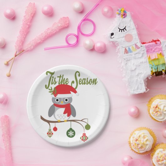moderne Vintage Weihnachtswaldeule Pappteller (Party)