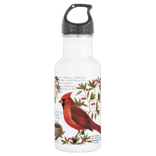 moderne vintage winter kardinal edelstahlflasche