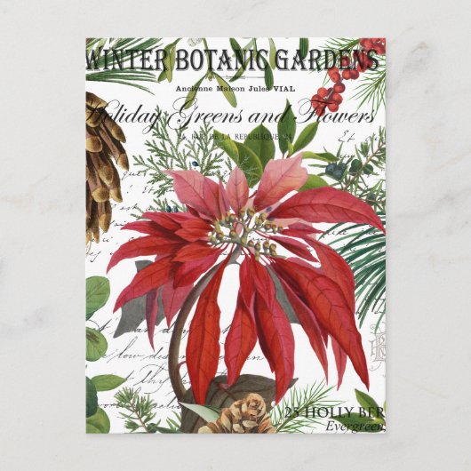 Moderne vintage Wintergarten-Blumen Postkarte (Vorderseite)