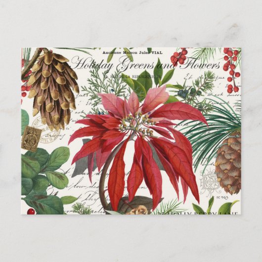 Moderne vintage Wintergarten Blumenpostkarte Postkarte (Vorderseite)