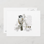 moderne Vintage Winterwaldkichade Postkarte (Vorne/Hinten)