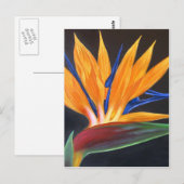 Moderne Vogel des Paradieses Tropenblumenmalerei Postkarte (Vorne/Hinten)