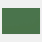 Moderne waldgrüne Schlichte Solid Color Geschenkpapier Set (Vorderseite 3)