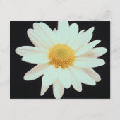 moderne Website-Visitenkarte Begleitkarte (Rückseite)