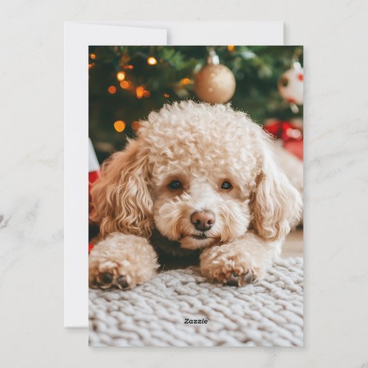 Moderne Weihnachten 5 Foto Collage Rotes grünes Sc (Rückseite)