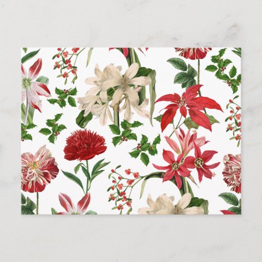 Moderne Weihnachtsfeiertage Blume Postkarte (Vorderseite)