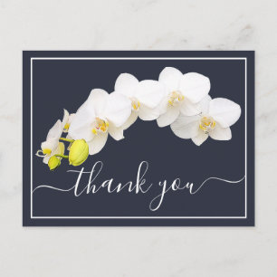 Moderne Weiße Orchidee Elegant Botanisch Dankeschö Postkarte