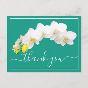 Moderne Weiße Orchidee Elegante Botanische Dankesk Postkarte