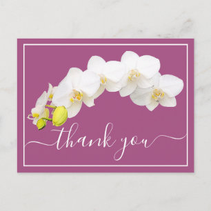 Moderne Weiße Orchidee Elegante Botanische Dankesk Postkarte