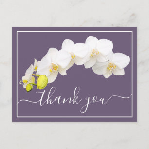 Moderne Weiße Orchidee Eleganter Botanischer Dank Postkarte