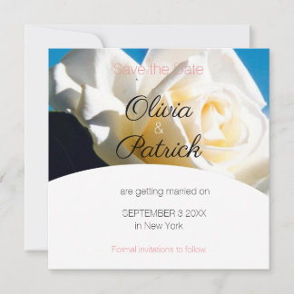 Moderne White Rose Wedding rettet das Datum Save The Date