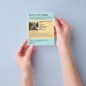 Moderne Yellow Blue Dog Training Pet Services Flyer (Gruppe)