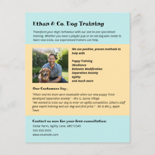 Moderne Yellow Blue Dog Training Pet Services Flyer