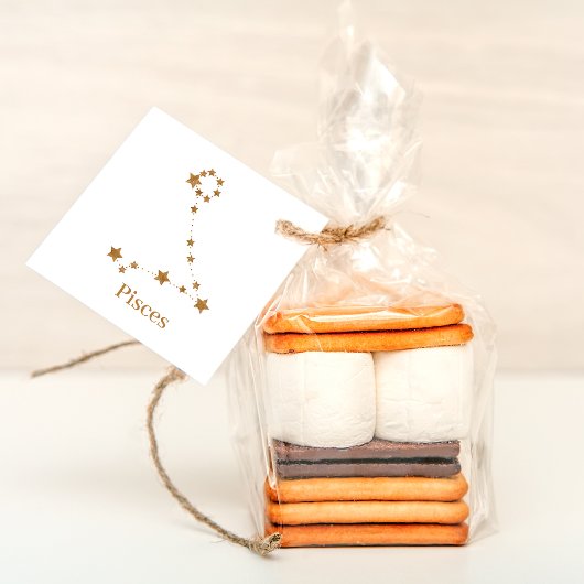 Moderne Zodiac Sign Gold Pises | Element Wasser Geschenkanhänger