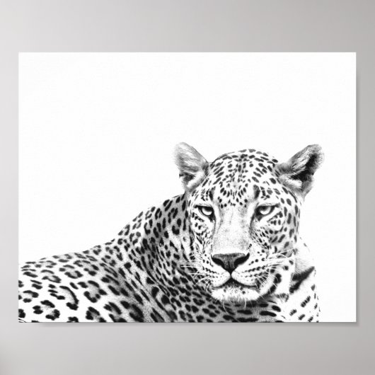 Moderner, 10x8 Zoll schwarzer und weißer Jaguar Poster (Vorne)