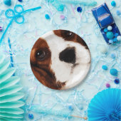 moderner brauner unbekümmerter Königcharles Pappteller (Party)