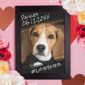 Moderner Chic Elegant Einfach Schwarzer Haustier H Poster