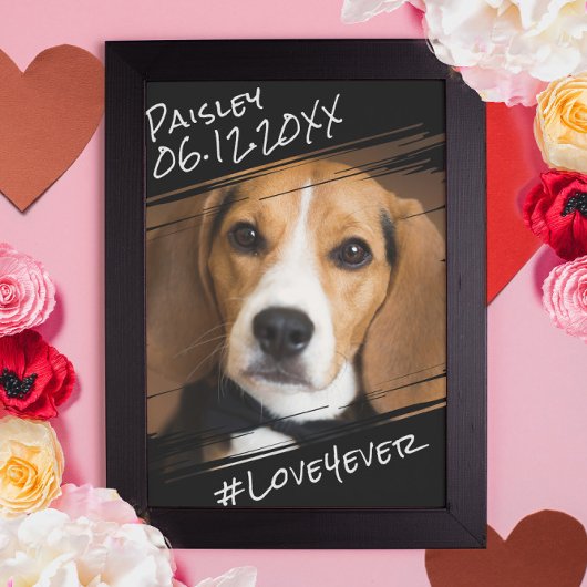 Moderner Chic Elegant Einfach Schwarzer Haustier H Poster