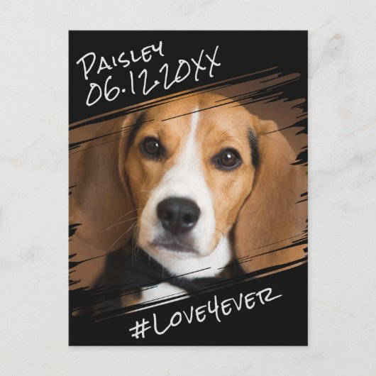 Moderner Chic Elegant Einfach Schwarzer Haustier H Postkarte (Vorderseite)