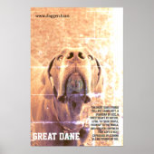 Moderner Dogge-Plakat grün  Poster (Vorne)