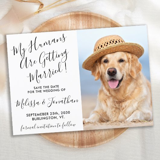 Moderner Eleganter Hochzeitshund Foto Personalisie Save The Date