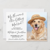 Moderner Eleganter Hochzeitshund Foto Personalisie Save The Date (Vorderseite)
