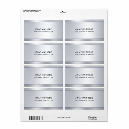 Moderner Glamour Silver Elegant Beruflich (Vorne)