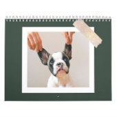 Moderner grüner Scrapbook-Haustierfoto Kalender (Titelbild)