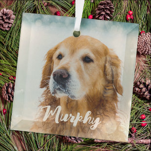 Moderner Haustier Foto Personalisiert Whimsical Hu Ornament Aus Glas