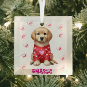 Moderner Haustier Foto Personalisiert Whimsical Hu Ornament Aus Glas