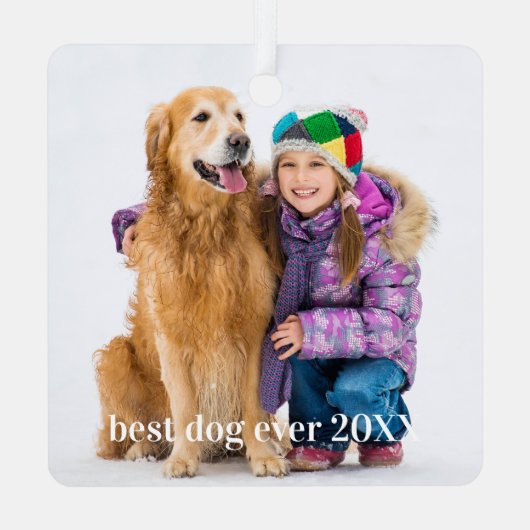 Moderner Haustier Foto Personalisiert Whimsical Hu Ornament Aus Metall (Rückseite)