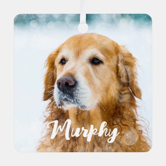 Moderner Haustier Foto Personalisiert Whimsical Hu Ornament Aus Metall (Vorderseite)